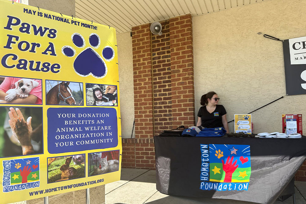 Paws for a Cause