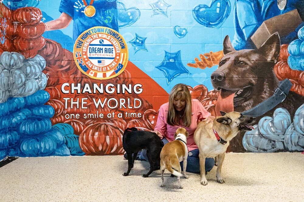 Big Dog Ranch Rescue Room