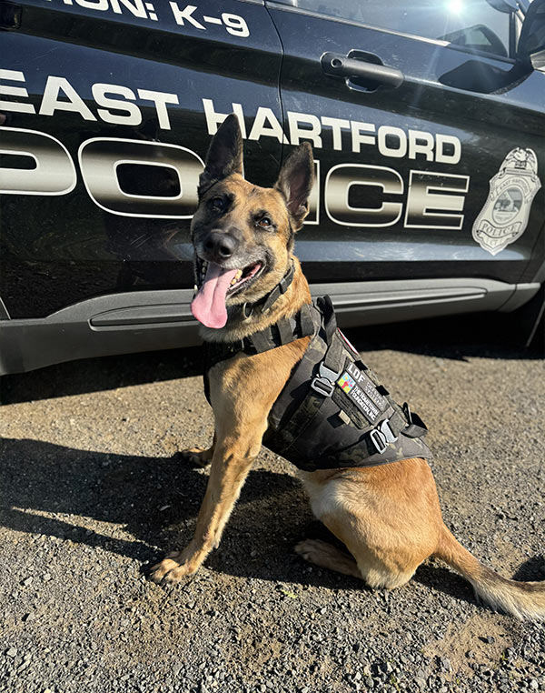 K-9 Zeus