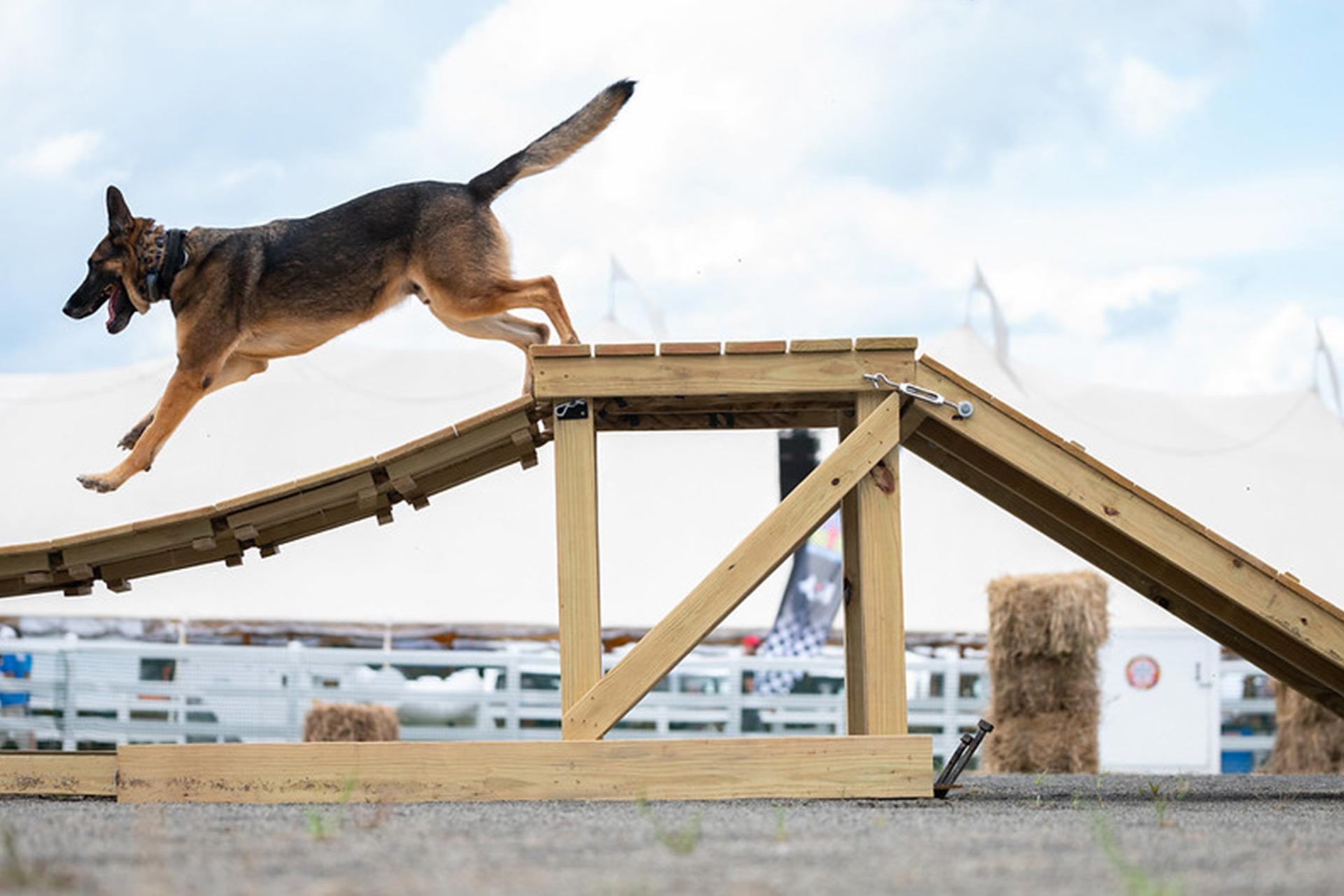 Police K-9 Training Facilities
