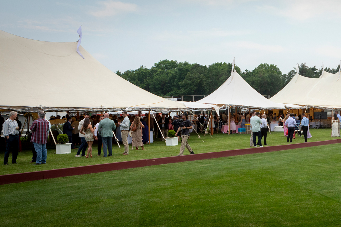 Birdies and Horsepower