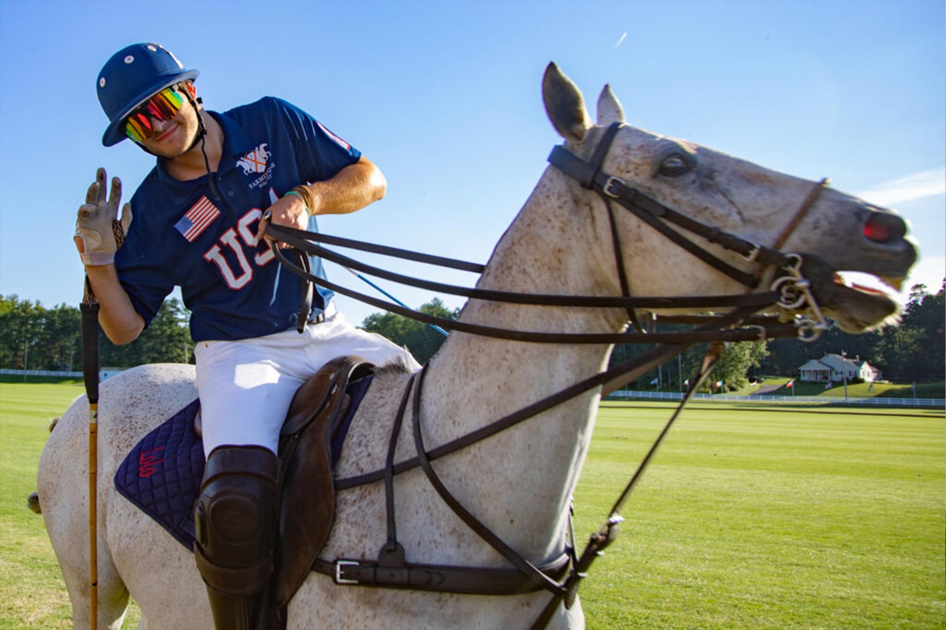 Birdies and Horsepower