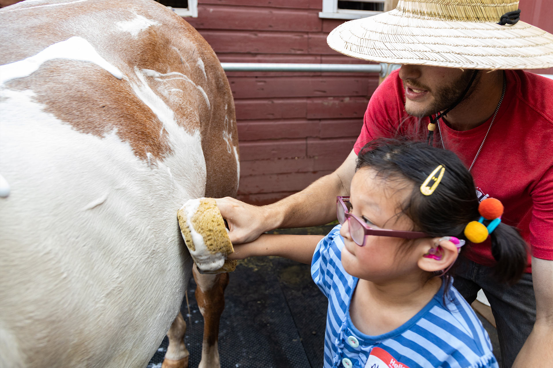 Equine Therapy Program