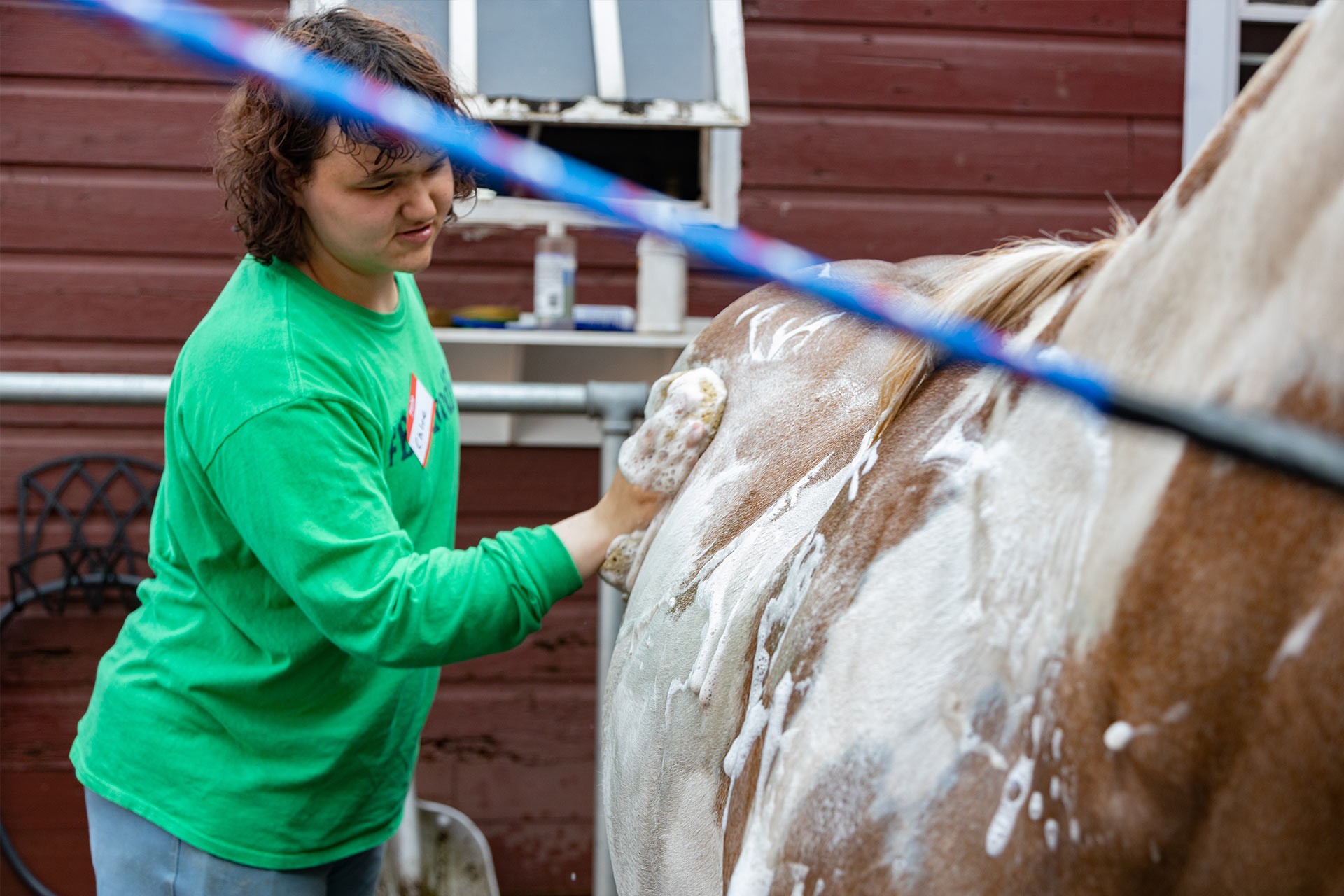 Equine Therapy Program