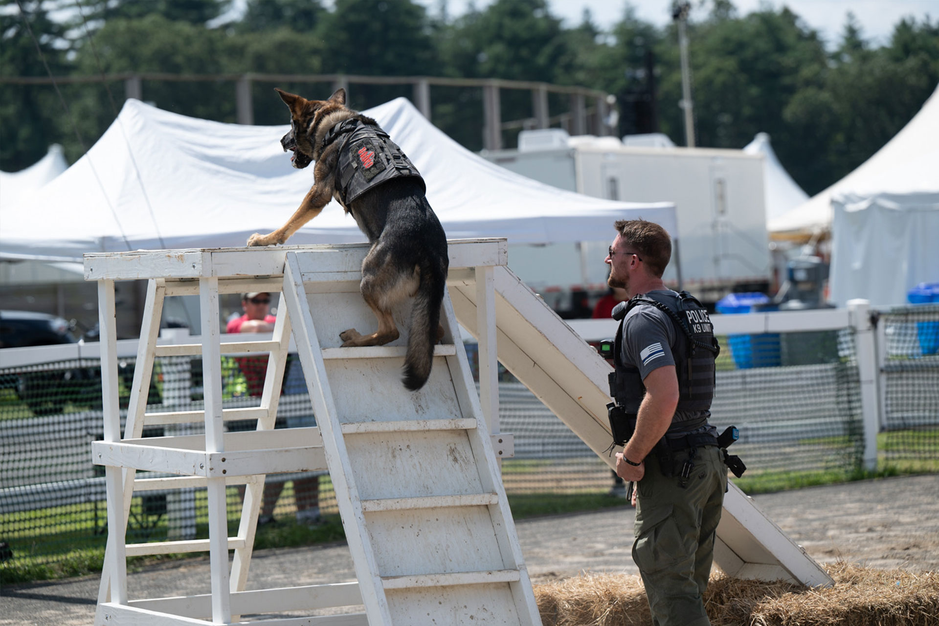 Police K9 Program